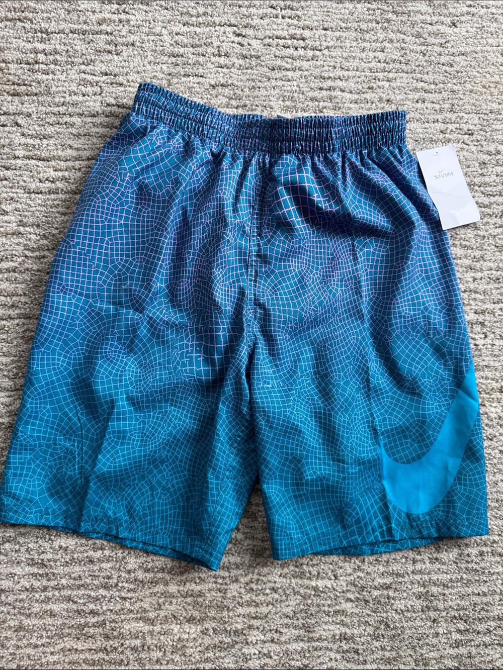 Nike Teal & Navy Geometric Swim Shorts
